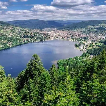 Capucine 2 Au Coeur Des Vosges 샬레