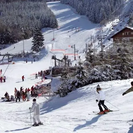 Capucine 2 Au Coeur Des Vosges 제라르메르